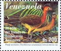 Nocturnal Curassow (Nothocrax urumutum)