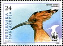 Eurasian Hoopoe (Upupa epops)