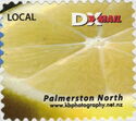 Lemon Palmerston North Photgraphy Publicity