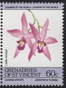 Laelia anceps