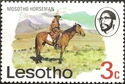 Mosotho Horseman