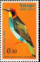 European Bee-eater (Merops apiaster)