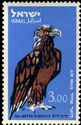 White-tailed Eagle (Haliaeetus albicilla)