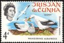 Wandering Albatross (Diomedea exulans)