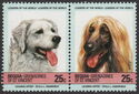 Hungarian Shepherd Dog, Afghan Hound