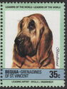 Bloodhound (Canis lupus familiaris)