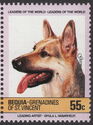 German Shepherd (Canis lupus familiaris)