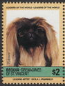 Pekinese (Canis lupus familiaris)
