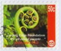 Leading Edge Foundation - Koru Fern Frond