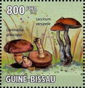 Cortinarius glaucopus and Leccinum versipelle