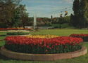 Bundes Gartenschau | Stuttgart · April-Oktober | 1961 | Blumenrondelle mit Sesse