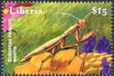 European Praying Mantis (Mantis religiosa)