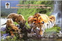 II International Tiger Forum, Vladivostok, Russia