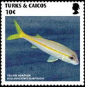 Yellow Goatfish