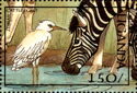 Cattle Egret (Bubulcus ibis), Plains Zebra (Equus quagga)