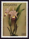 Cattleya ballantiniana
