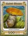 Leccinum aurantiacum
