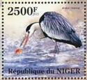Grey Heron (Ardea cinerea)