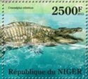 Nile Crocodile (Crocodylus niloticus)