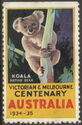 Koala - Native Bear