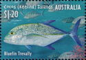Bluefin Trevally (Caranx melampygus)