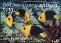 Cocos Pygmy Angelfish (Centropyge joculator)