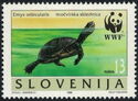 European pond tortoise (Emys orbicularis)