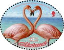 Pair of Caribbean Flamingo (Phoenicopterus ruber) on Beach
