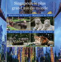 Zoo Animals in Singapore