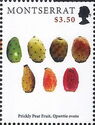 Prickly Pear Fruit (Opuntia ovata)