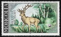 Red Deer (Cervus elaphus) - Adult Male