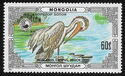 Dalmatian Pelican (Pelecanus crispus)