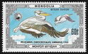 Great White Pelican (Pelecanus onocrotalus)