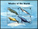 Whales of the World