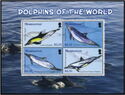 Dolphins of the World