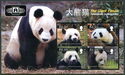 The Giant Panda (Ailuropoda melanoleuca)