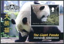 The Giant Panda (Ailuropoda melanoleuca)