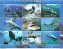 Marine Fauna Mammals