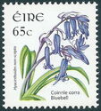 Bluebell (Hyacinthoides non-scripta)