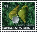 Emerald Green Snail (Papulstyla pulcherrima)