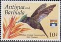 Antillean Crested Hummingbird and Wild Plantain