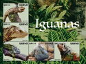Iguanas