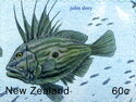 John Dory (Zeus faber)