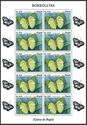 Common Green Charaxes (Charaxes eupale)