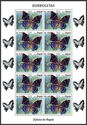 Lesser Blue Charaxes (Charaxes numenes)
