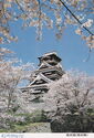 Kumamoto Castle