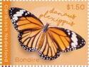 Monarch (Danaus plexippus)