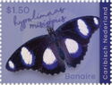 Danaid Eggfly (Hypolimnas misippus)