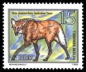 Maned Wolf (Chrysocyon brachyurus)