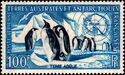 Emperor Penguin (Aptenodytes forsteri)